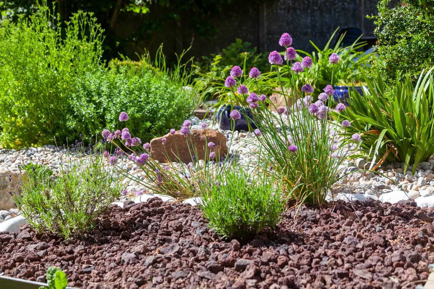 Création jardin